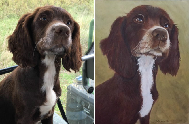 Sue Omara Art - Commisions - Sprocker Puppy