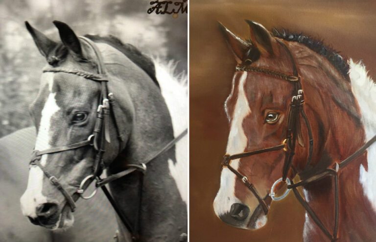 Marksman the Horse - Sue Omara Art Commissions v2