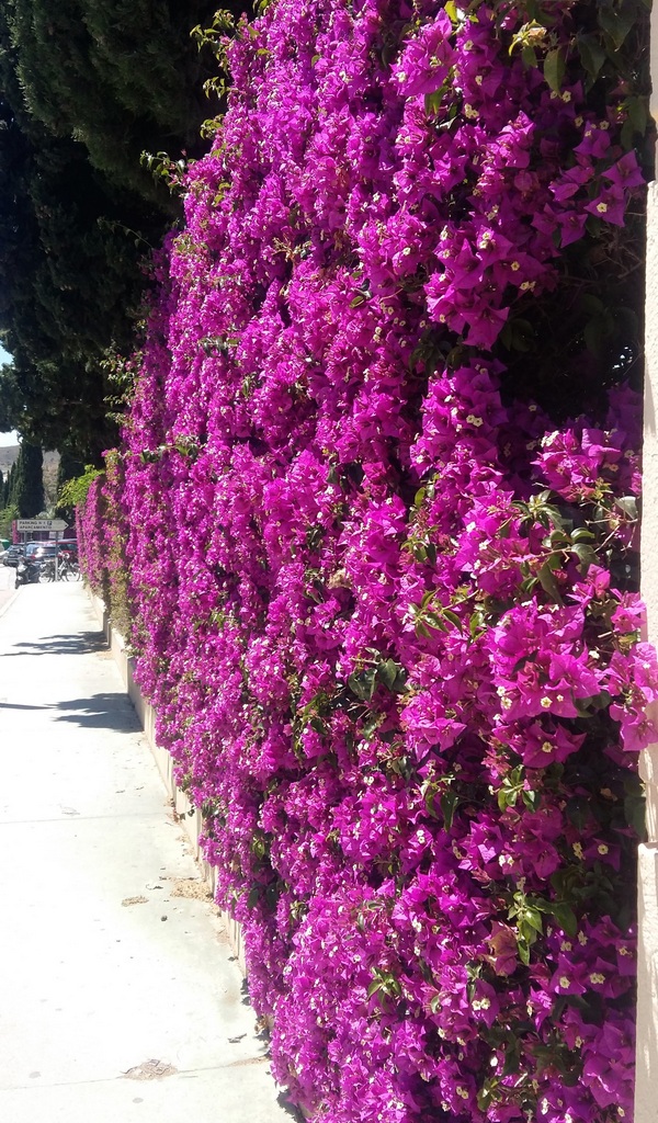 Sue OMara Art Classes - Spain Residential Art Class - 014