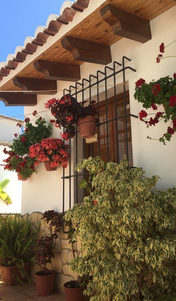 Sue OMara Art Classes - Spain Residential Art Class - 015