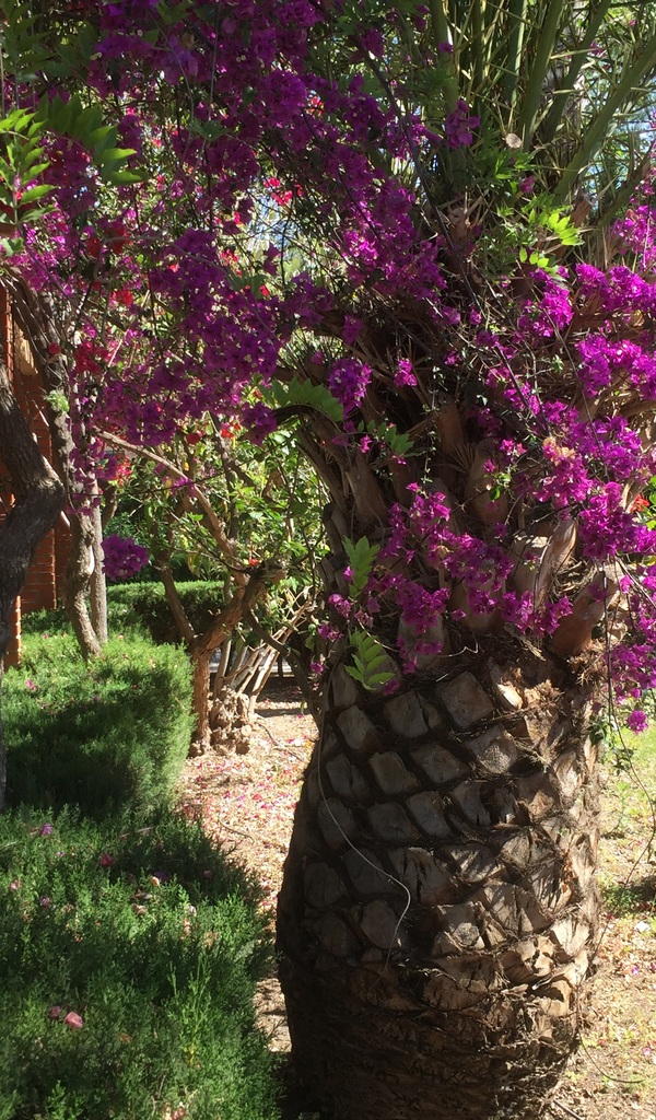 Sue OMara Art Classes - Spain Residential Art Class - 026