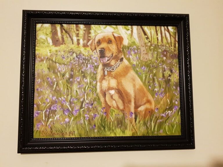 This is the lovely Basil