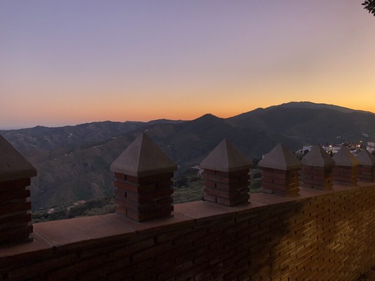 Sue Spain 2020 - 018