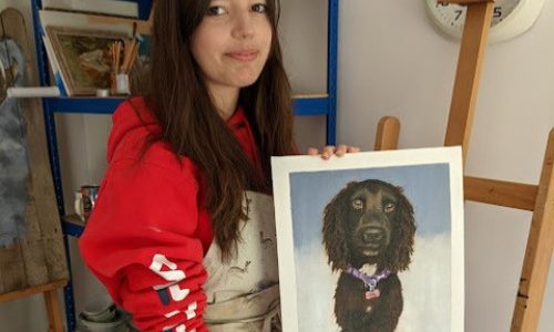 Beginners Pet Portrait Classes Sussex