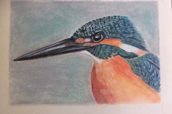 Kingfisher